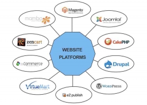 Which Web Design Platform Is Right for You Which Web Design Platform Is Right for You